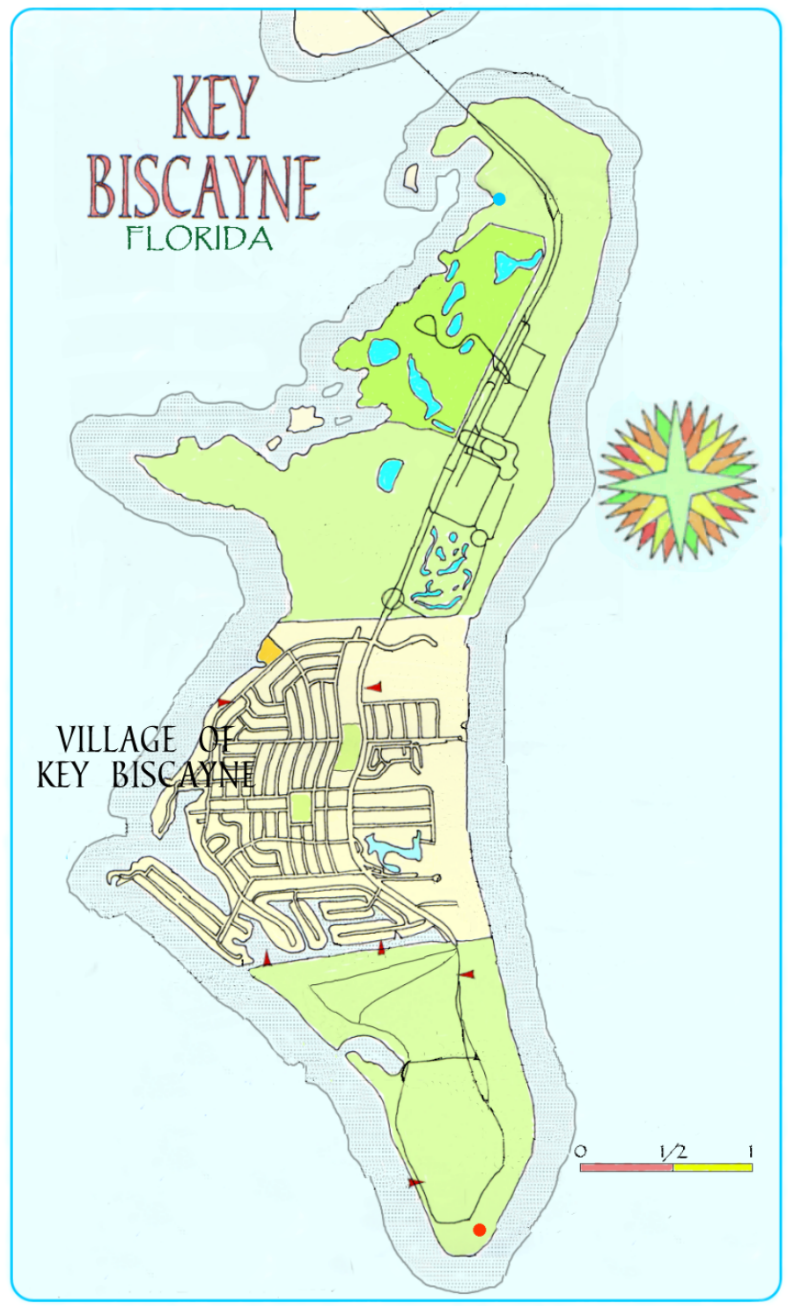 11 x 14 MAPS (70+ options)